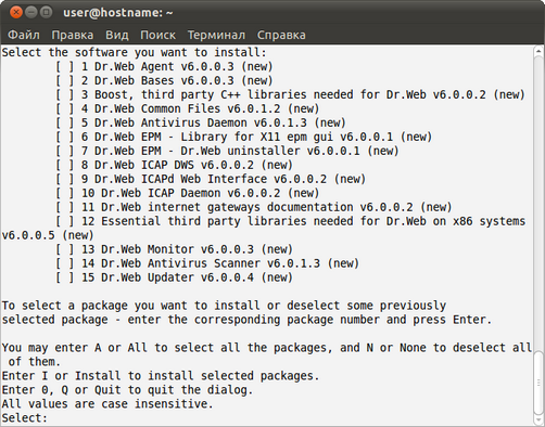 03 - ICAP CLI Setup SelSoft