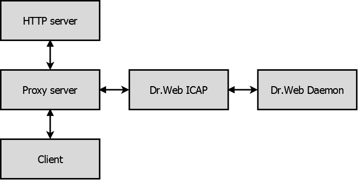 ICAP1_en