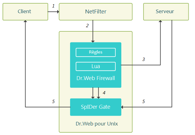 Figure 52. Mode de fonctionnement de Dr.Web Firewall pour Linux